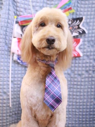 20230504レオくん